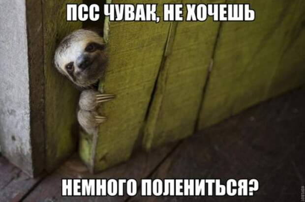 Новогодние фотомемы (32 шт)