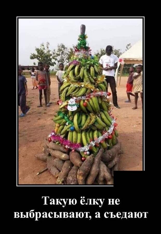 demotivatory-demotivator-smeshnye-demotivatory-demotivator-so-smyslom