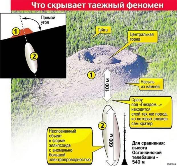 тайга, объект, феномен, научные станции