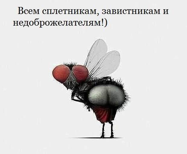 QPFHGulNZAA