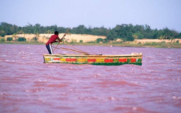Озеро Ретба Кап Верт, Сенегал   Ретба, также известное как Розовое озеро, получило такое название, как нетрудно догадаться, благодаря ярко-розовому цвету его вод. Его назвали своим домом цианобактерии Dunaliella, для которых высокая концентрация солей в воде, сделала Ретбу идеальной средой обитания.
