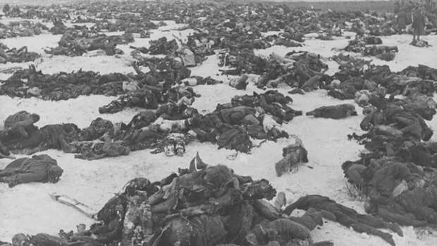 Окончательный разгром окруженных немецко-фашистских армий в районе Сталинграда осуществили войска Донского фронта. 2 февраля 1943, сталинградская битва