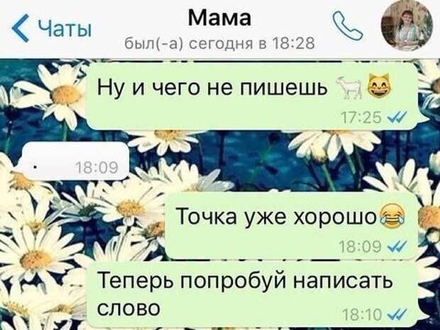 Мама осваивает WhatsApp