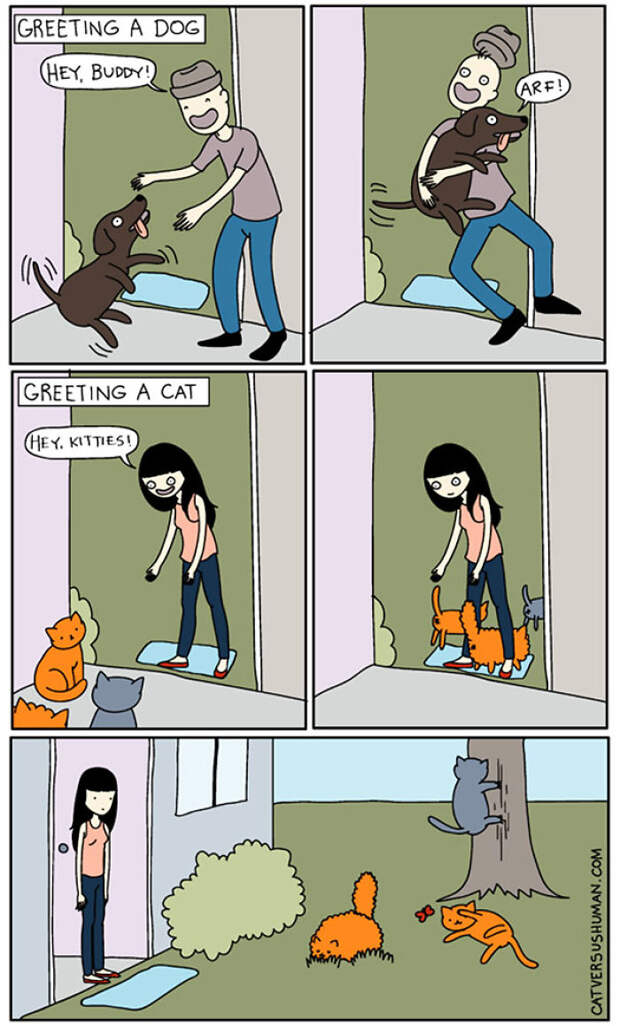 Cat Versus Human