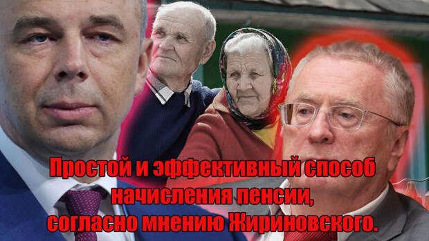 Простой и эффективный способ начисления пенсии, согласно мнению Жириновского. Коллаж - авторский.