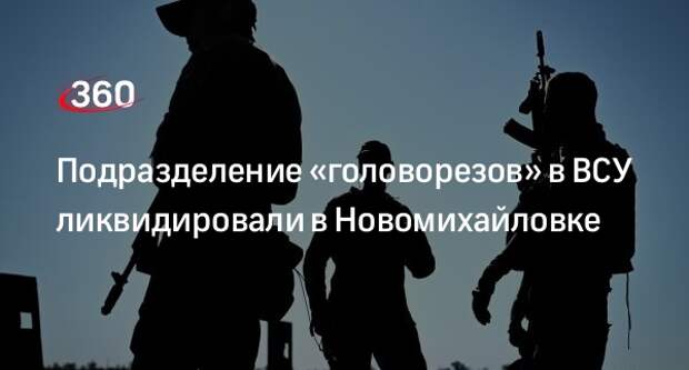 ТАСС: ВС России ликвидировали спецподразделение ВСУ в Новомихайловке