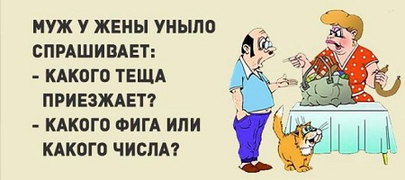 лучший анекдот на сегодня