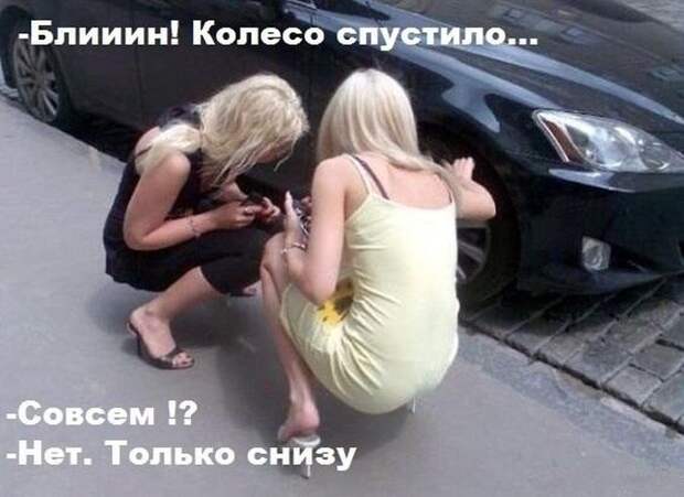 Прикольные картинки. Дневной выпуск (50 фото)