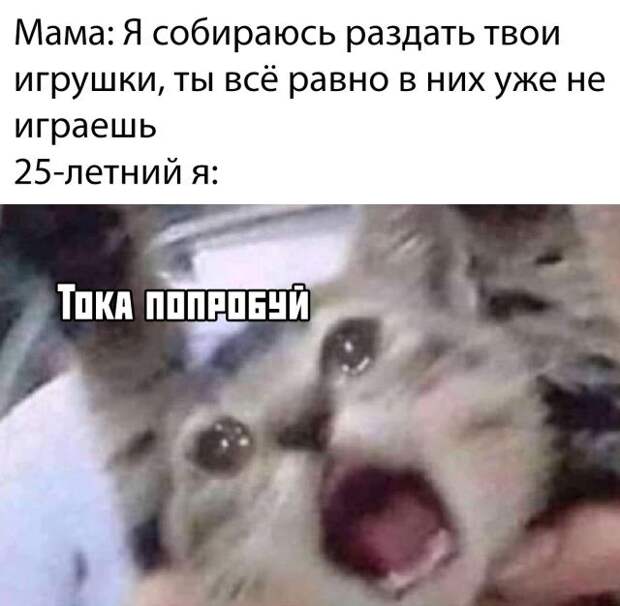 kartinok-prikolnyx-podborka-kartinki-smeshnye-kartinki-fotoprikoly