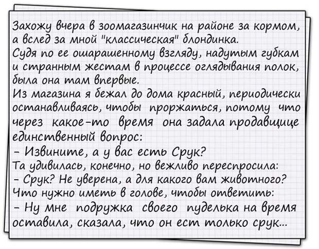 Деревня. Вечер. На краю деревни на лавке сидят дед и внук...