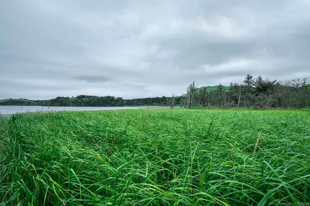 Остров Шикотан Остров Шикотан