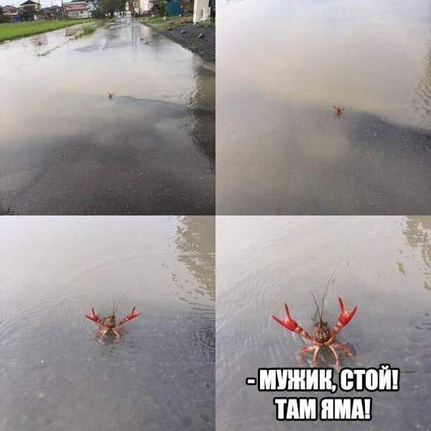 Мемчики на вечер.