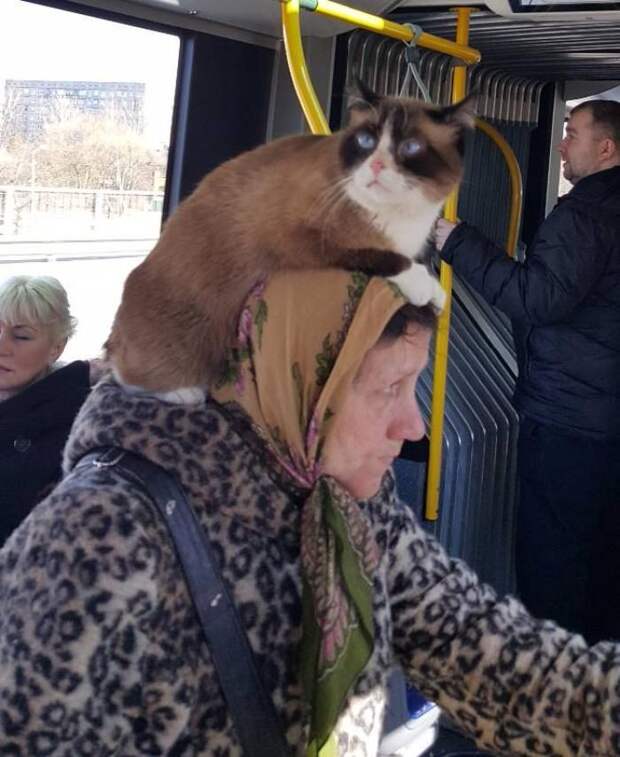 Доминируй, властвуй, унижай!
