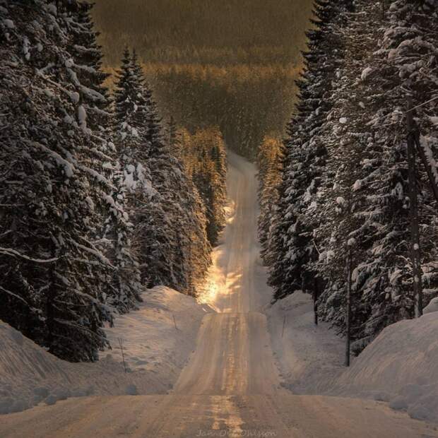Фотоподборка