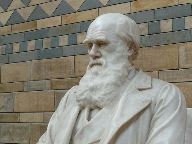 В павильоне МЦД пройдет выставка Дарвиновского музея в преддверии Всемирного дня науки. Фото: pixabay.com