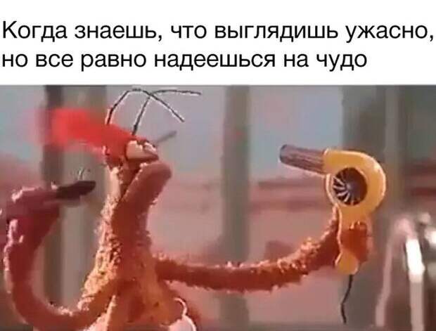Забавные картинки с надписями для улыбки (12 фото) Забавные картинки с надписями для улыбки (12 фото)