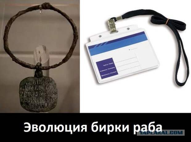 Просто 30 картинок из тырнета
