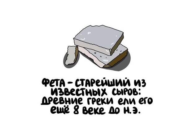 Интересные факты на все случаи жизни