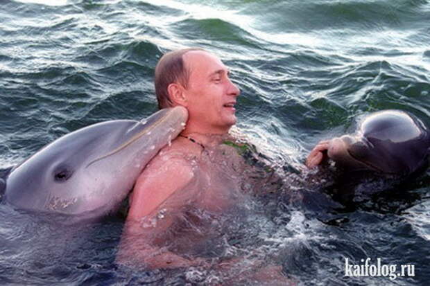 Разносторонний Путин (65 фото + видео)