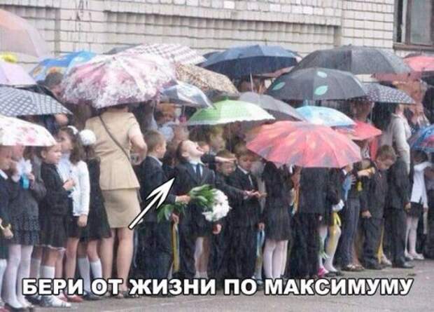 Свежие фотомемы для настроения (22 шт)