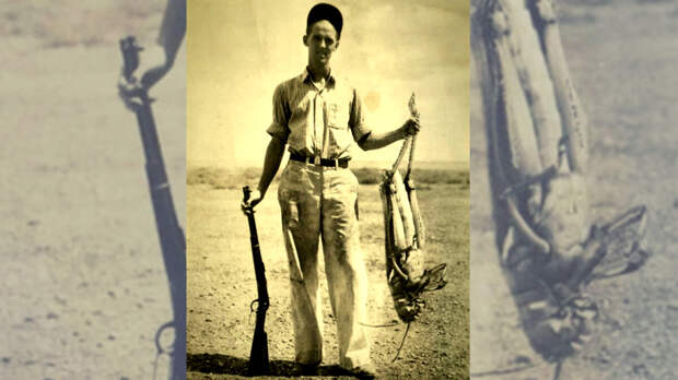 Как фермеры случайно уничтожили всю местную саранчу в Северной Америке