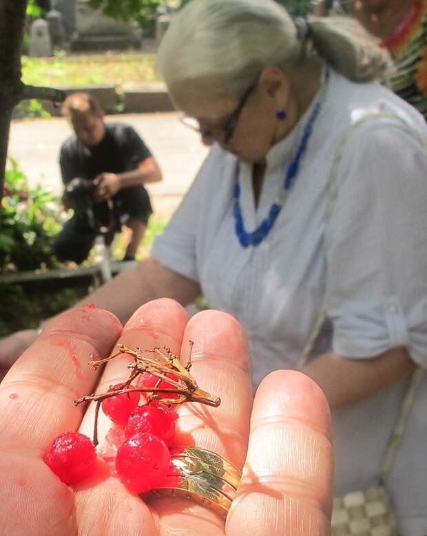 Новодевичье Новодевичье