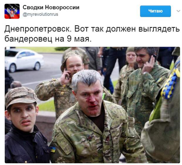 g6C_8eFVtA8.jpg