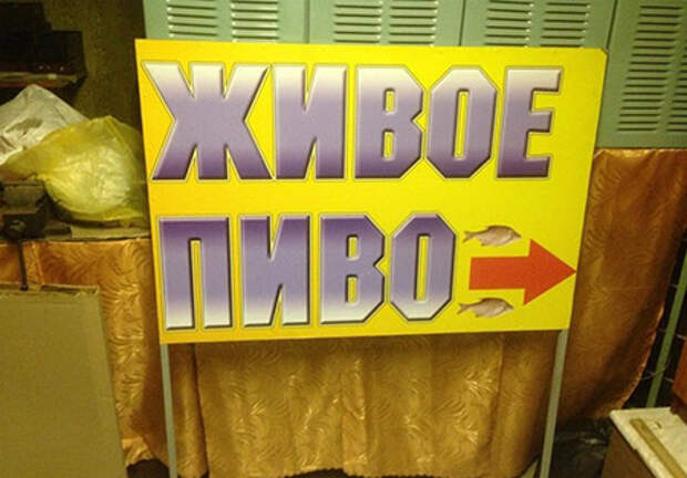 Живое пиво Живое пиво