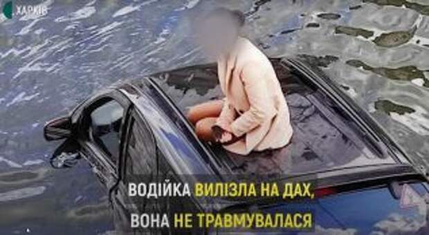 Спасая кошку от смерти, водитель вместе с машиной упала в воду