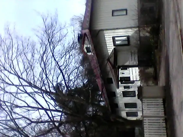 По крыше ходит чайка...