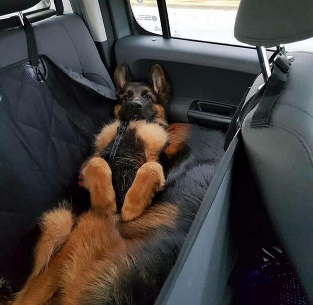 Фотоподборка