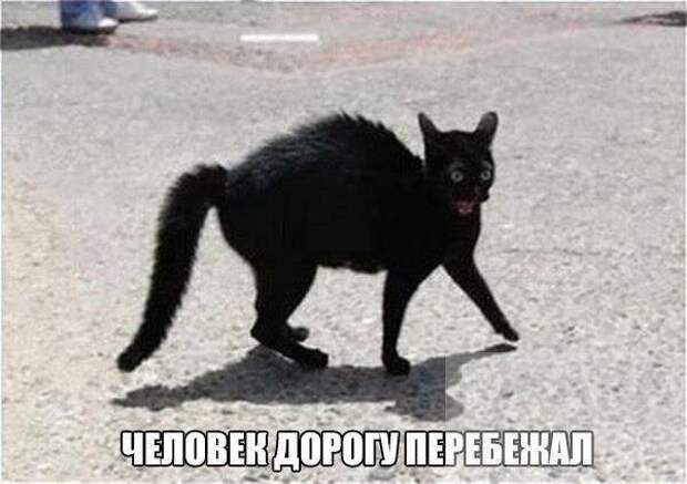Тем временем в параллельной вселенной Тем временем в параллельной вселенной