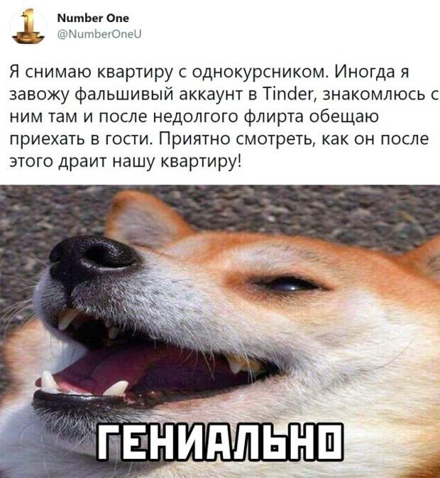 Смешные картинки 27 апреля 2021
