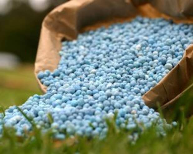 736c8fe0c0fc0d4556ddc9dbd5e727a9_250x200