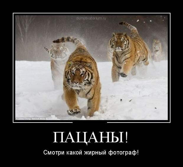 Прикольные демотиваторы для веселья (11 фото) Прикольные демотиваторы для веселья (11 фото)