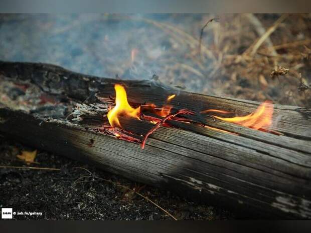 В пяти районах Забайкалья ожидается высокая пожарная опасность