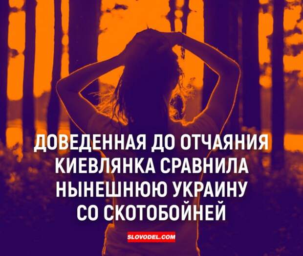 Доведены до отчаяния