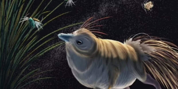 Ученые изучили останки пустынного динозавра с ночным зрением