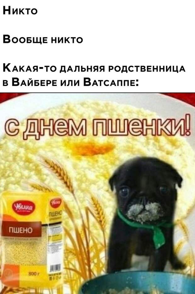 Смешные картинки вечер 14 мая 2021