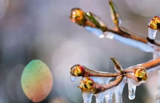 Потеплеет до +12: в каких областях начнется весна