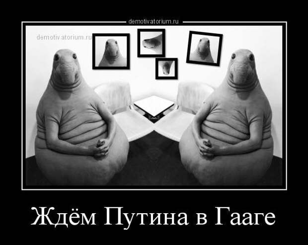 Утром в газете - вечером в Гааге
