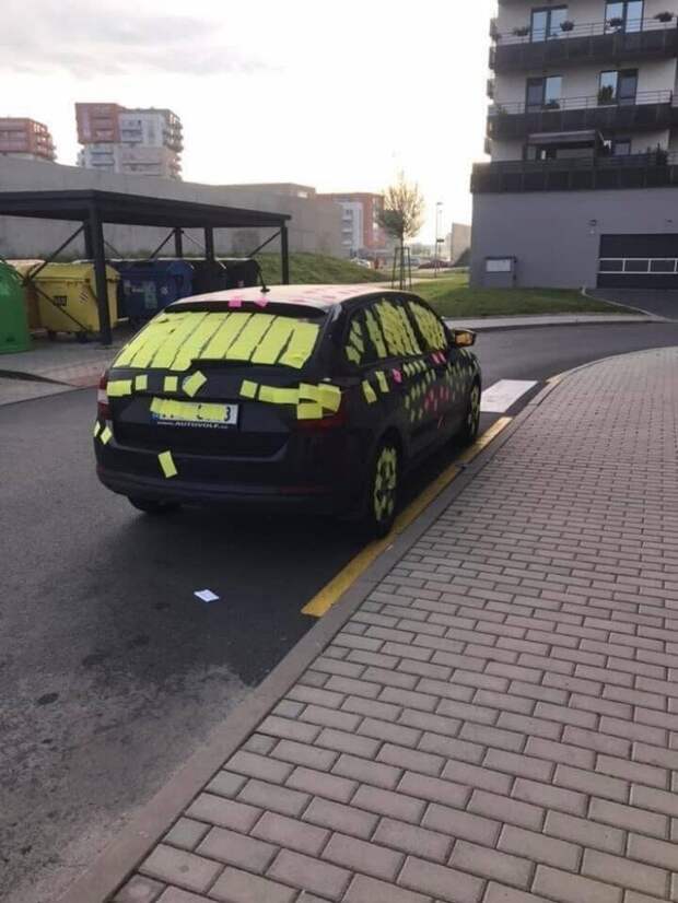 Месть сладка! Порция отборного юмора