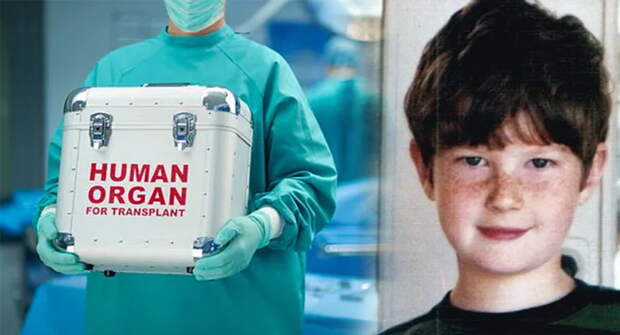Эффект Николаса: как гибель 7-летнего американца изменила отношение к донорству в целой стране