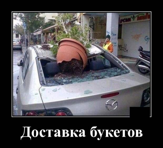 Демотиваторы (20 фото)