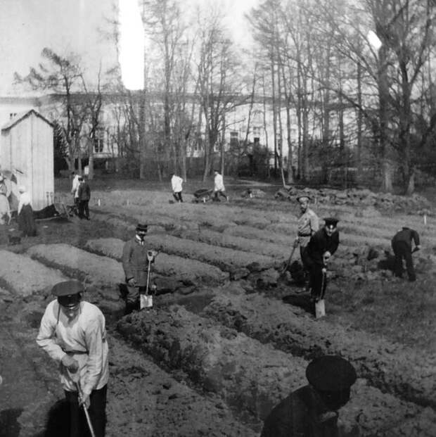 Королевская пропаганда, отставка Чубайса, хитрый план Илона Маска и брак в Роскосмосе