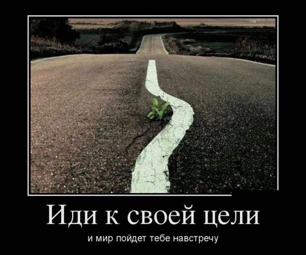 1472407516_02