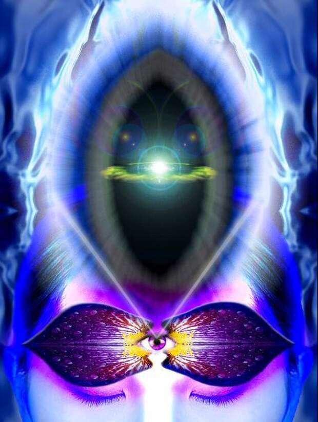 11699_1