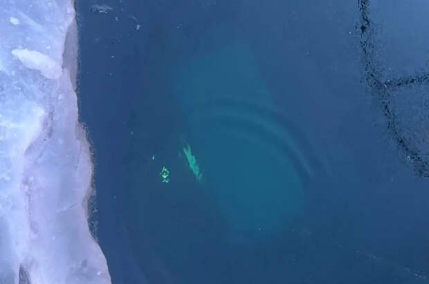 Погибшие на Байкале туристы из КНР были из одной семьи