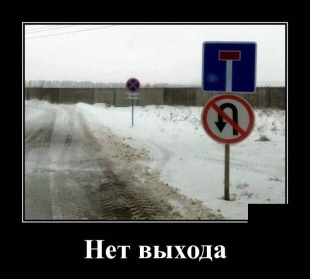 Демотиваторы