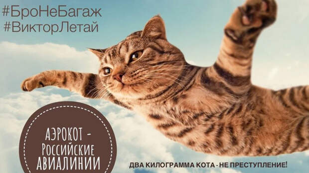 Мемы, с которых орнули россияне в 2019